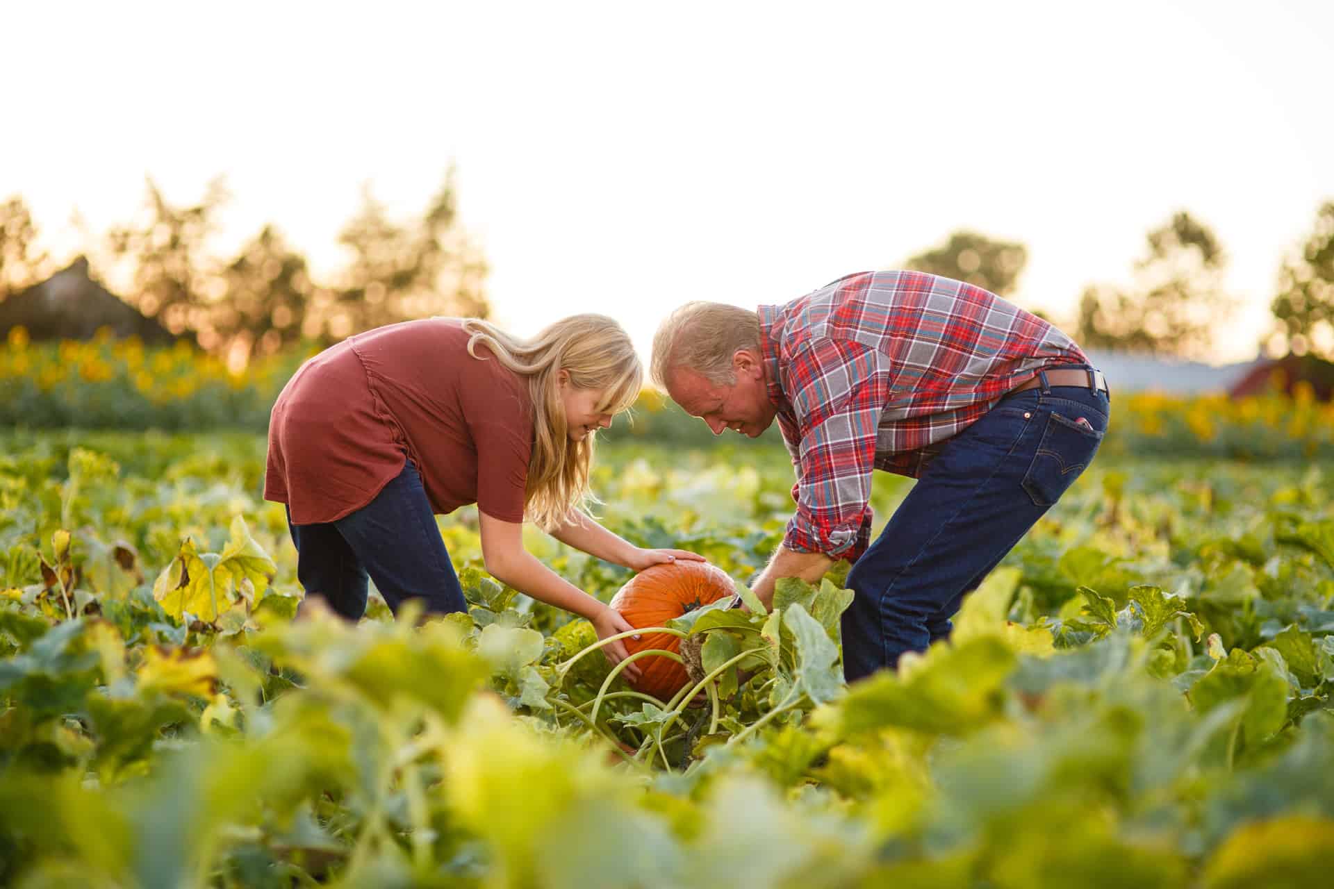 Fall Activities