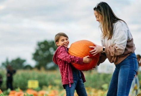~Weekday Fall Harvest Hayride & Pick Your Own~