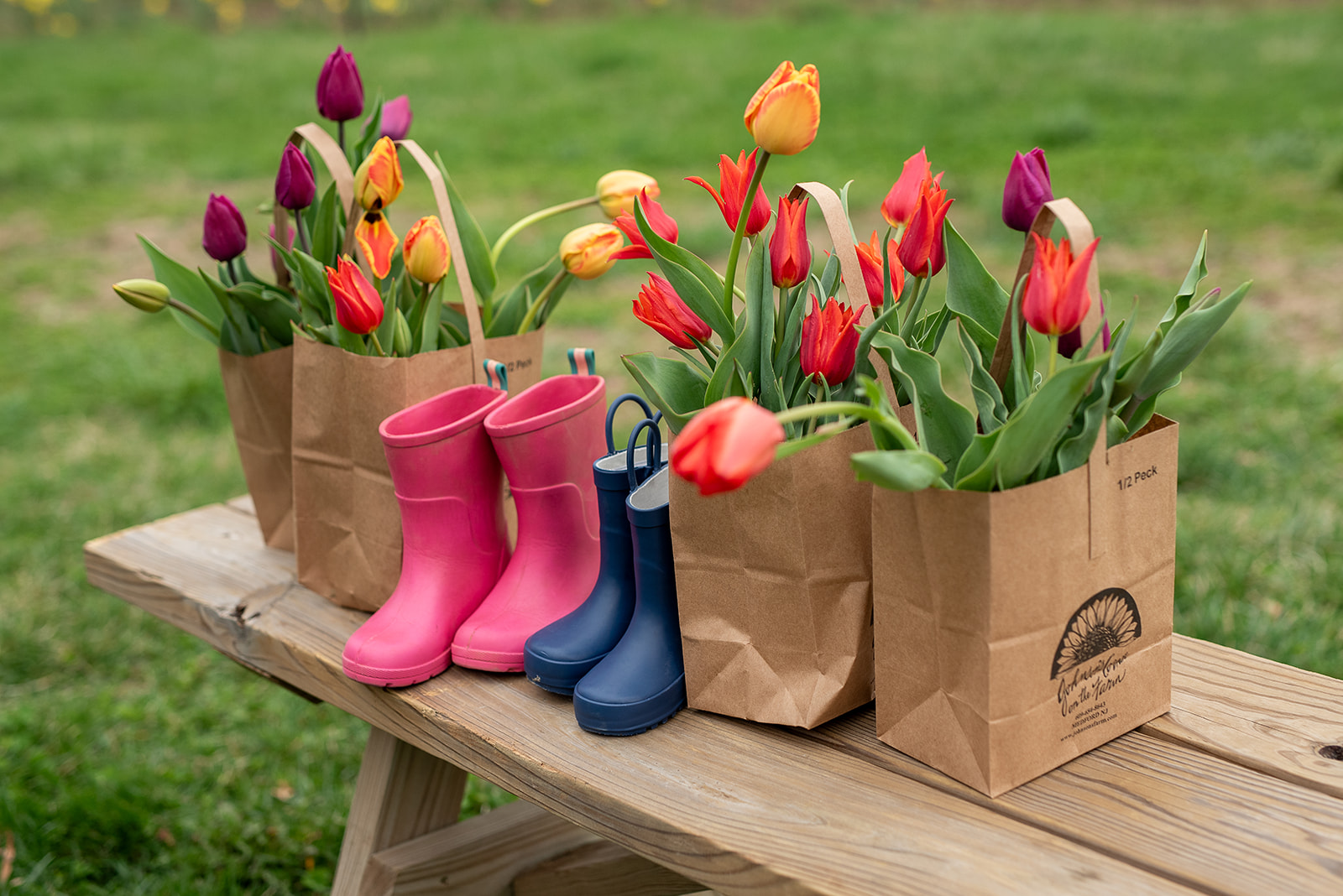 Tulip Picking Spring Break Fun At Johnson S Johnson S Farm Pumkin