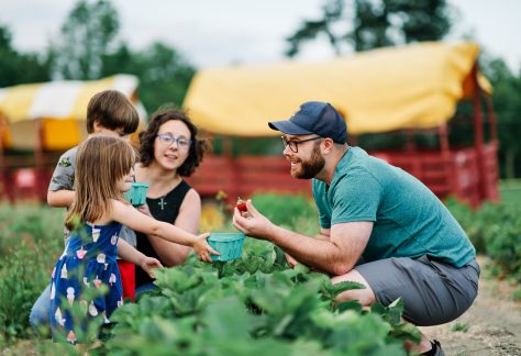 ~ Strawberry Picking ~ ~ Strawberry Picking ~